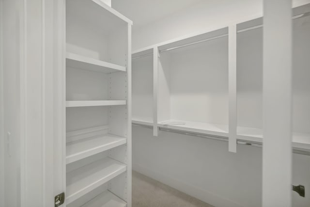 spacious closet with carpet