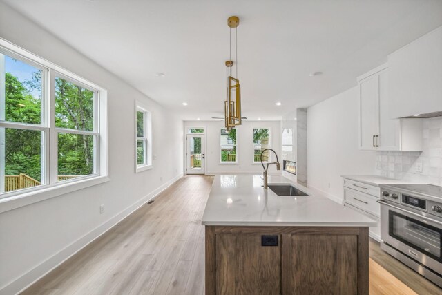 kitchen featuring white cabinets, a sink, stainless steel stove, light countertops, and light wood-type flooring