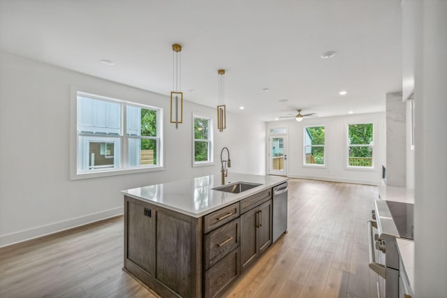 kitchen featuring a ceiling fan, dark brown cabinetry, a sink, light wood finished floors, and stainless steel appliances