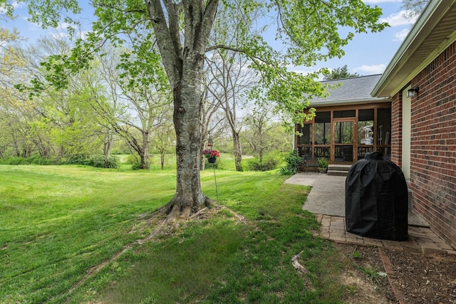 view of yard featuring a patio area