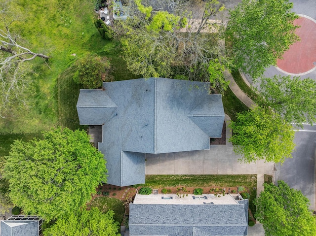 aerial view