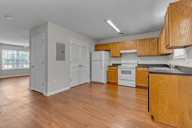 kitchen featuring white appliances, under cabinet range hood, a sink, and light wood finished floors