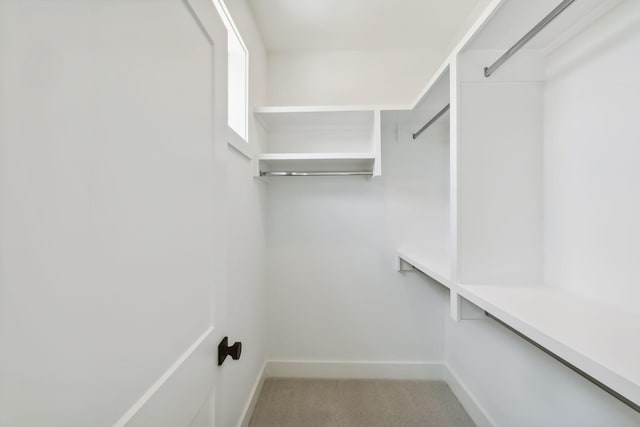 walk in closet featuring carpet floors