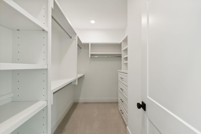 spacious closet featuring light colored carpet