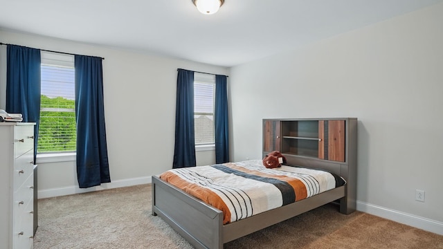 1210 Macey Peri Way, Smyrna, TN 37167 - bedroom with carpet, multiple windows, and baseboards