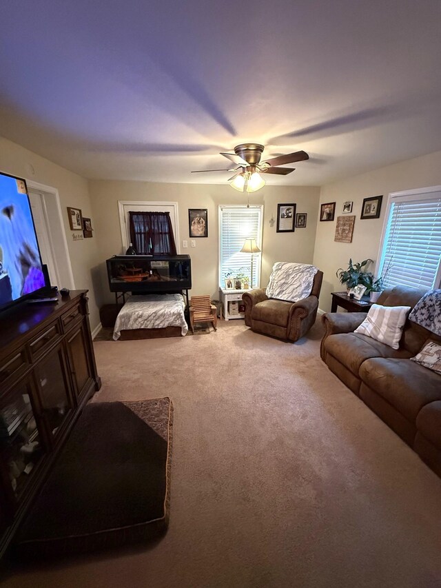 4293 Sparta Hwy, Mcminnville, TN 37110 - photo 22