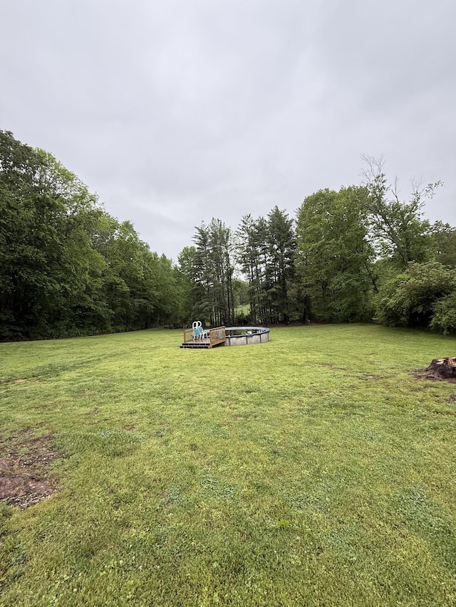 4293 Sparta Hwy, Mcminnville, TN 37110 - photo 10