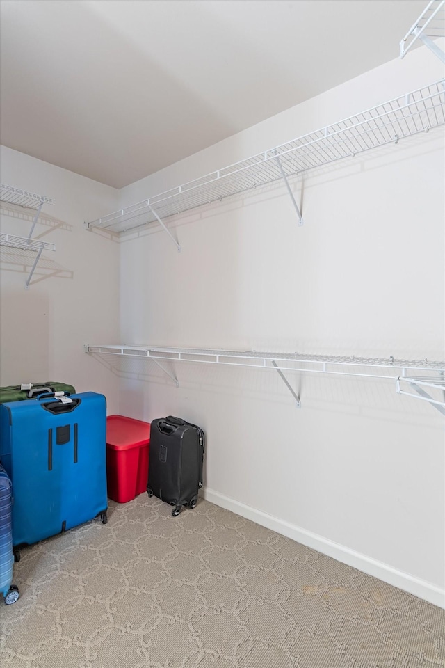 view of spacious closet
