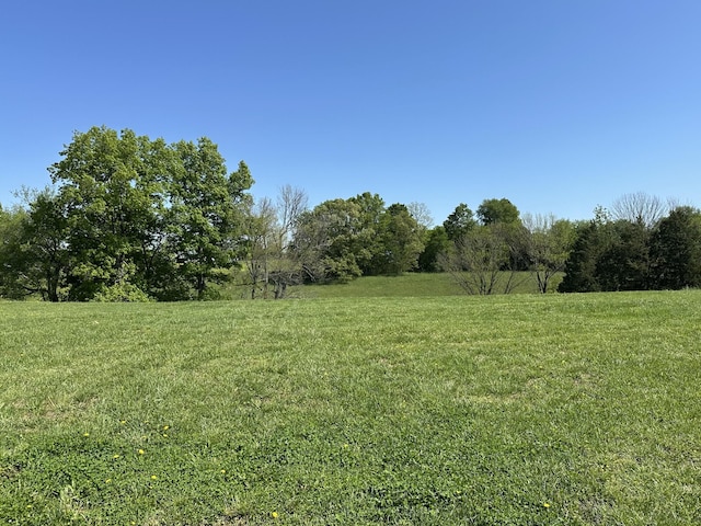 120 Freeland Rd, Portland, TN 37148 - photo 15