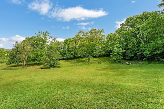 418 Mason Ln, Goodlettsville, TN 37072 - view of green lawn