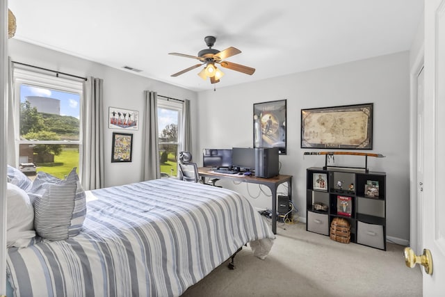 2795 Iroquois Dr, Thompsons Station, TN 37179 - photo 31