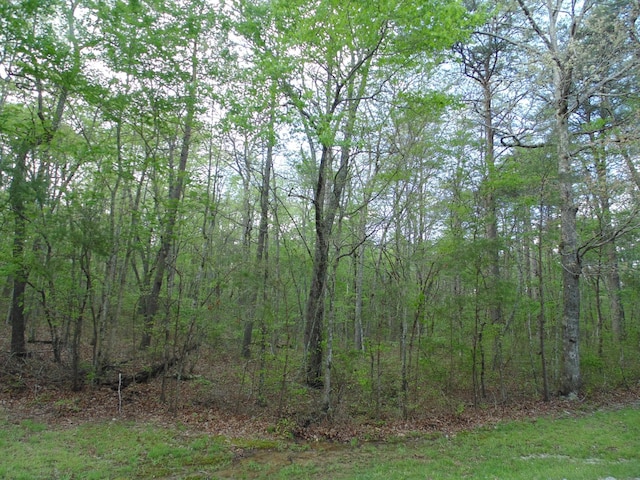 128 Timberwood Trl, Monteagle, TN 37356
