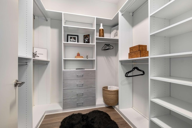spacious closet featuring wood finished floors