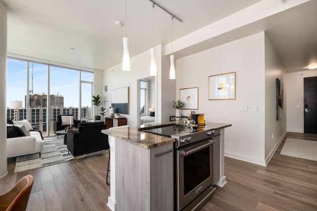 kitchen with stainless steel electric stove, a kitchen island, dark wood-style floors, and open floor plan