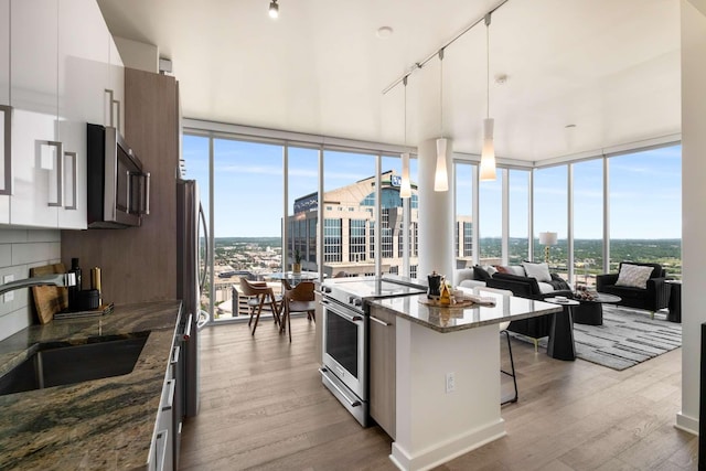 kitchen featuring a sink, appliances with stainless steel finishes, a wealth of natural light, and a wall of windows