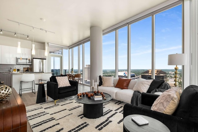 living area with a healthy amount of sunlight, expansive windows, and light wood-type flooring