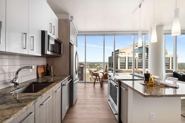 kitchen featuring expansive windows, a sink, wood finished floors, and stainless steel appliances