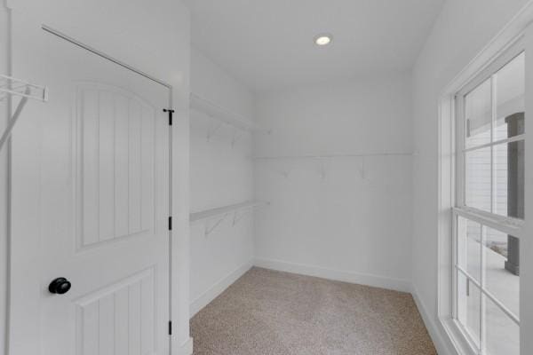 walk in closet featuring light carpet