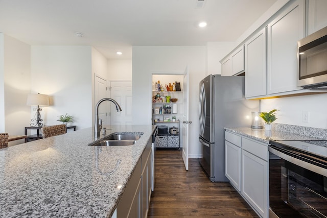 kitchen featuring dark wood-type flooring, a sink, appliances with stainless steel finishes, and light stone counters
