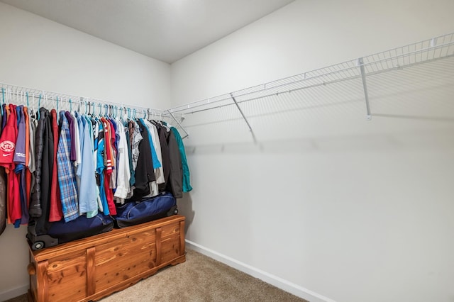 walk in closet with carpet
