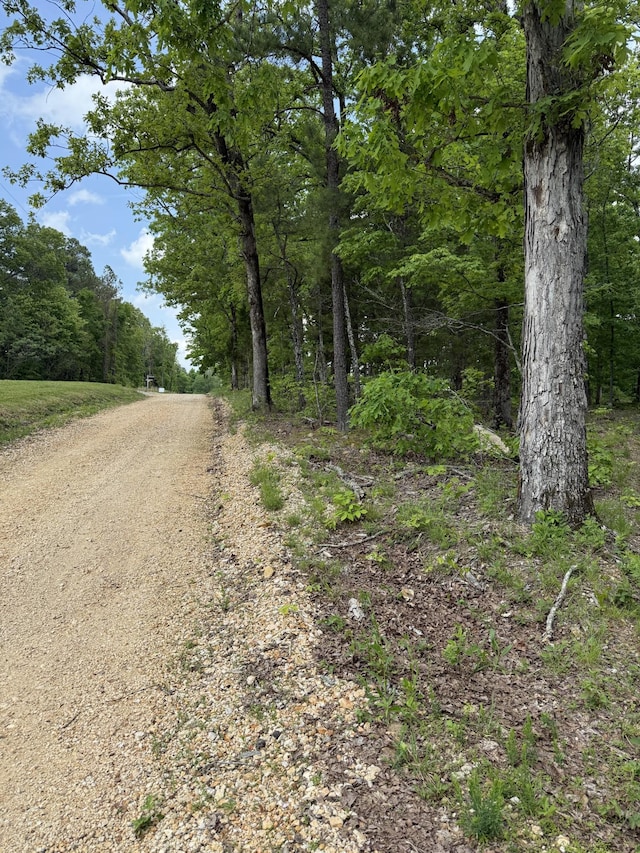 0 Robertson Rd, Mc Ewen, TN 37101