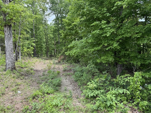 0 Robertson Rd, Mc Ewen, TN 37101