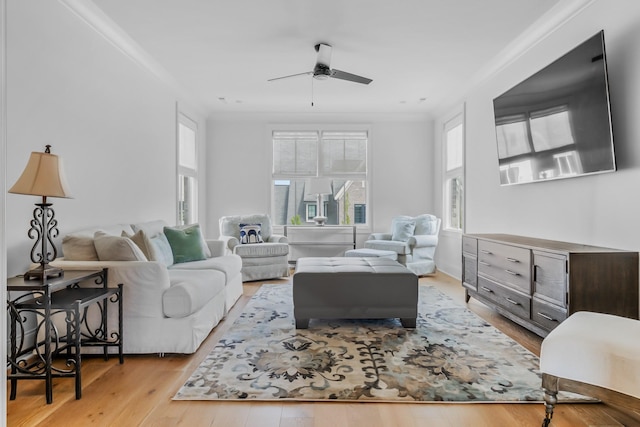 living area featuring crown molding, ceiling fan, and light wood-style flooring