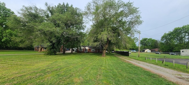 view of yard featuring fence and driveway