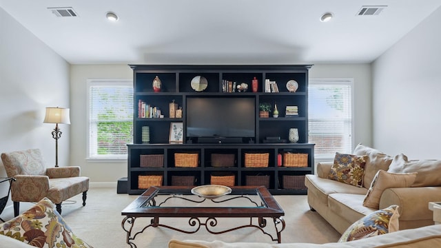 1011 Gatewick Ct, Franklin, TN 37067 - living area featuring carpet flooring and plenty of natural light