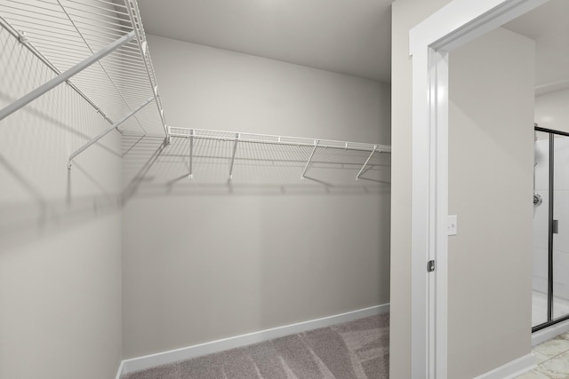 view of spacious closet