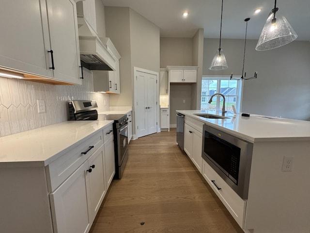 4020 Runyan Cv, Murfreesboro, TN 37127 - kitchen with stainless steel appliances, a sink, backsplash, custom range hood, and wood finished floors