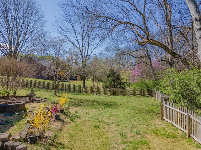 1408 Ridley Dr, Franklin, TN 37064 - view of yard