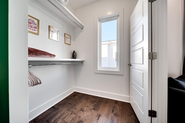 spacious closet featuring dark wood finished floors