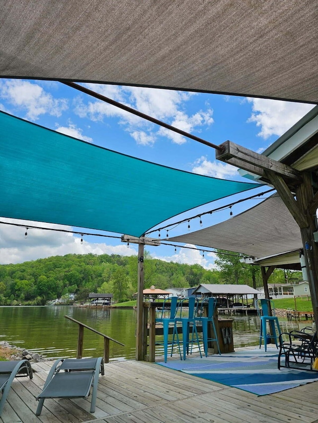188 Hillside Rd, Spring City, TN 37381 - photo 6