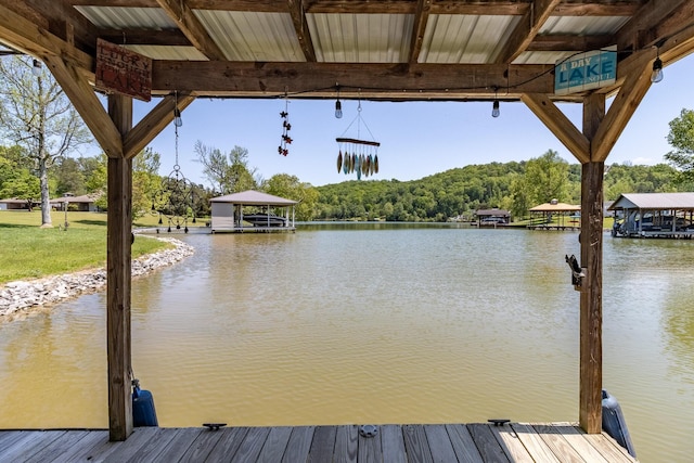 188 Hillside Rd, Spring City, TN 37381 - photo 10
