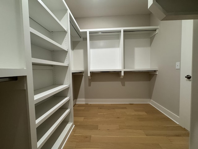 spacious closet featuring light wood-style floors