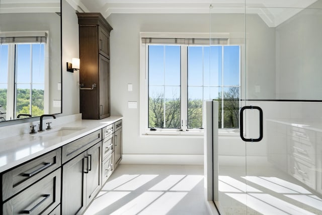 bathroom with vanity, a wealth of natural light, and a shower stall