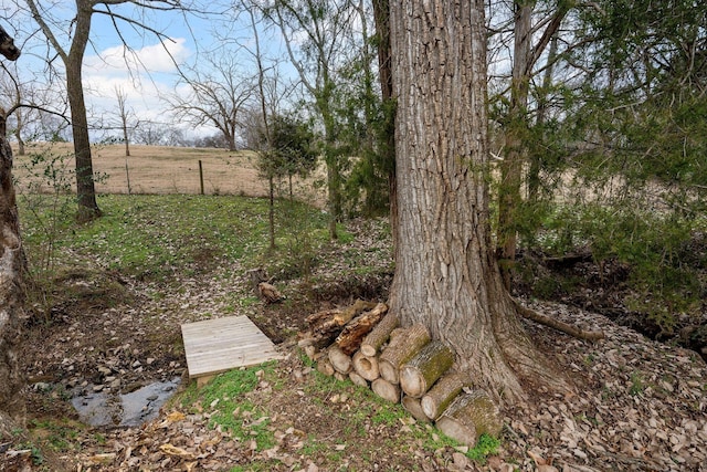 741 Saundersville Ferry Rd, Mount Juliet, TN 37122 - view of yard featuring fence