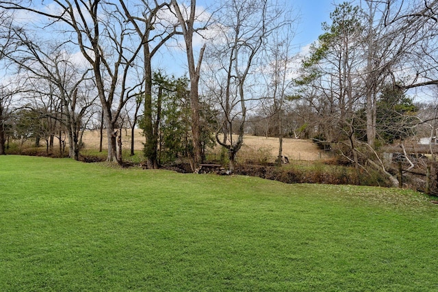 741 Saundersville Ferry Rd, Mount Juliet, TN 37122 - view of yard