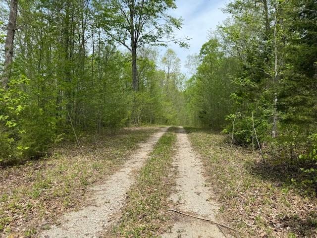 4986 Robbinstown Rd, Byrdstown, TN 38549
