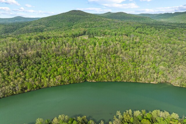 4986 Robbinstown Rd, Byrdstown, TN 38549