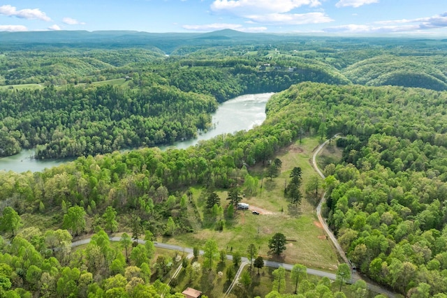4986 Robbinstown Rd, Byrdstown, TN 38549