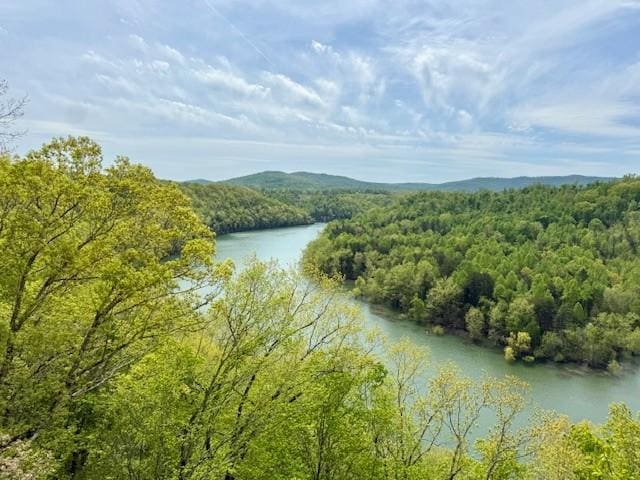 4986 Robbinstown Rd, Byrdstown, TN 38549