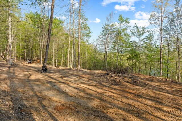 4986 Robbinstown Rd, Byrdstown, TN 38549