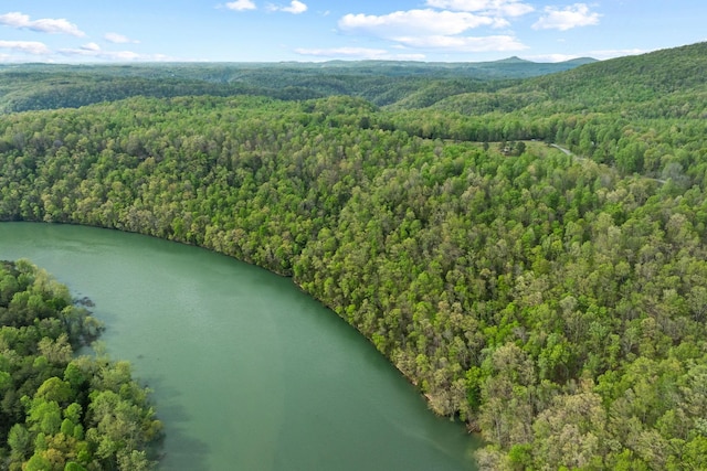 4986 Robbinstown Rd, Byrdstown, TN 38549