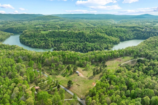 4986 Robbinstown Rd, Byrdstown, TN 38549