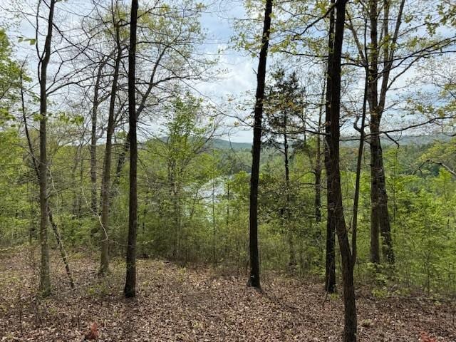 4986 Robbinstown Rd, Byrdstown, TN 38549
