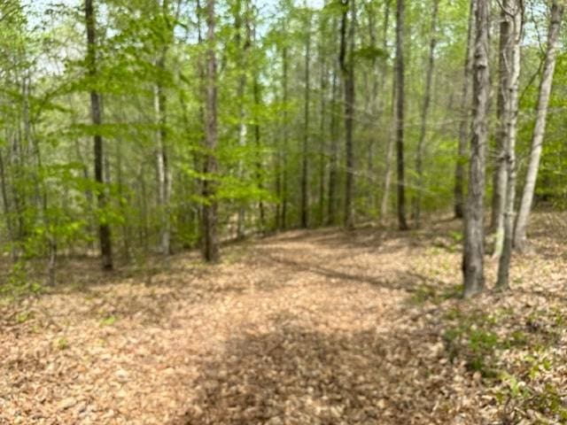 4986 Robbinstown Rd, Byrdstown, TN 38549