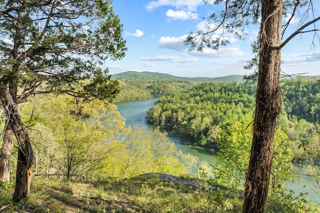 4986 Robbinstown Rd, Byrdstown, TN 38549