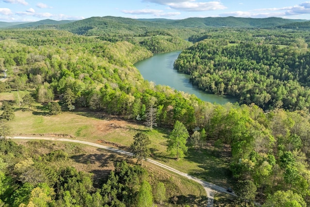 4986 Robbinstown Rd, Byrdstown, TN 38549